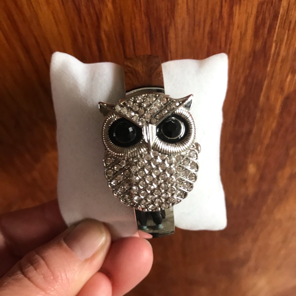 Beautiful Owl Watch